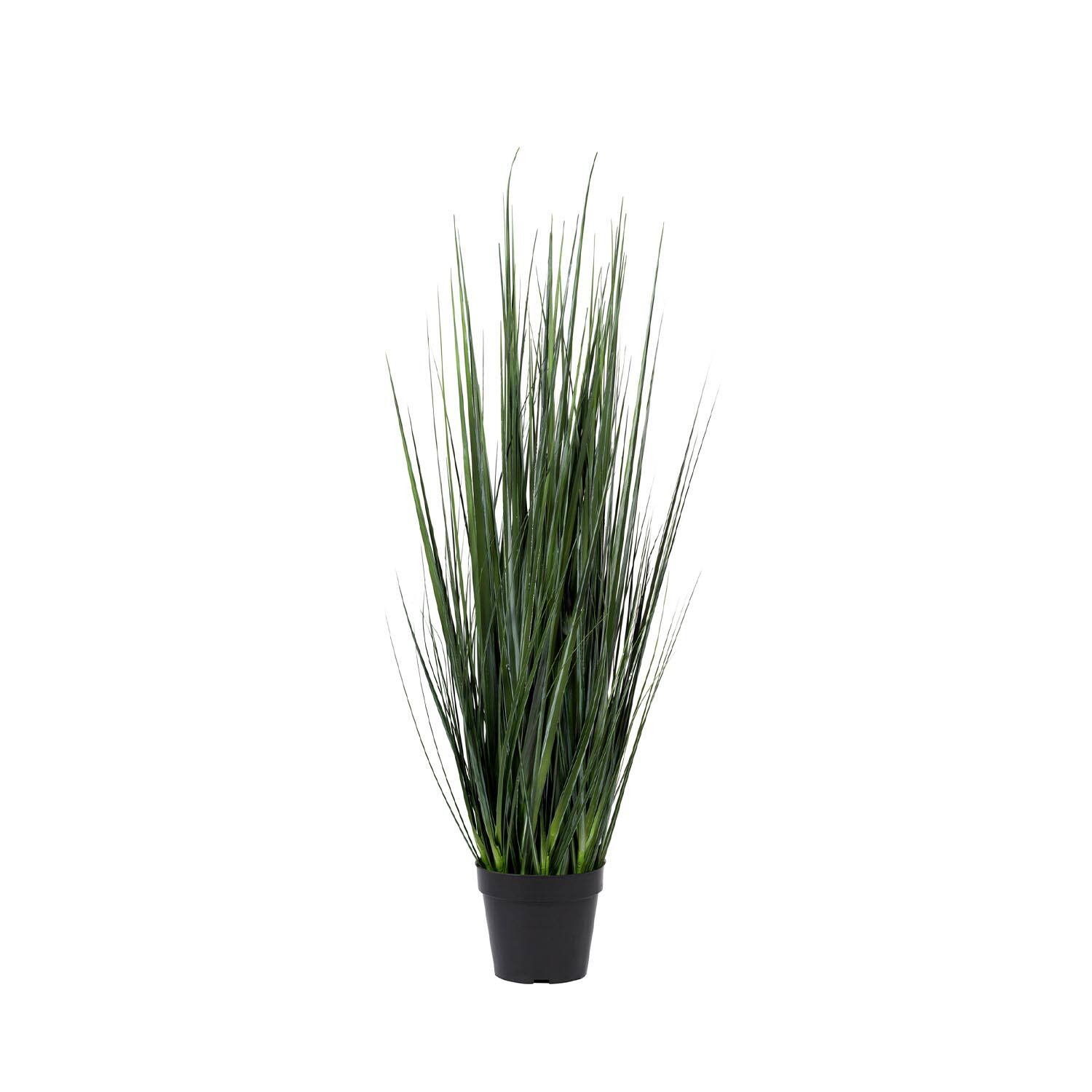 Grass in pot M, Green
