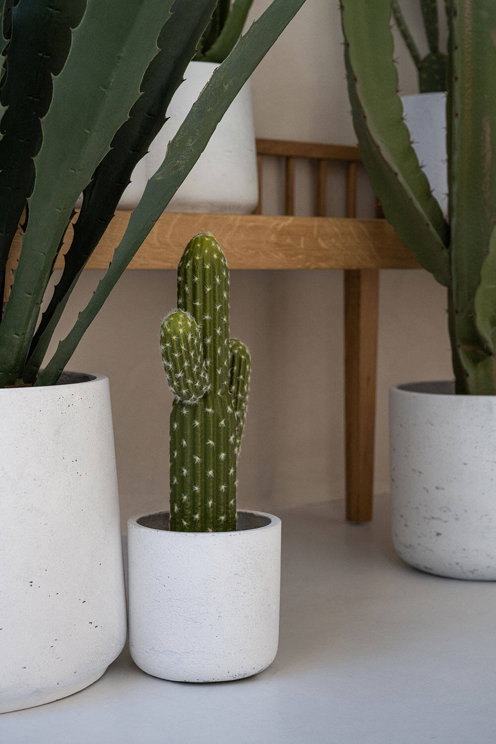 Cactus Saguaro M, Green