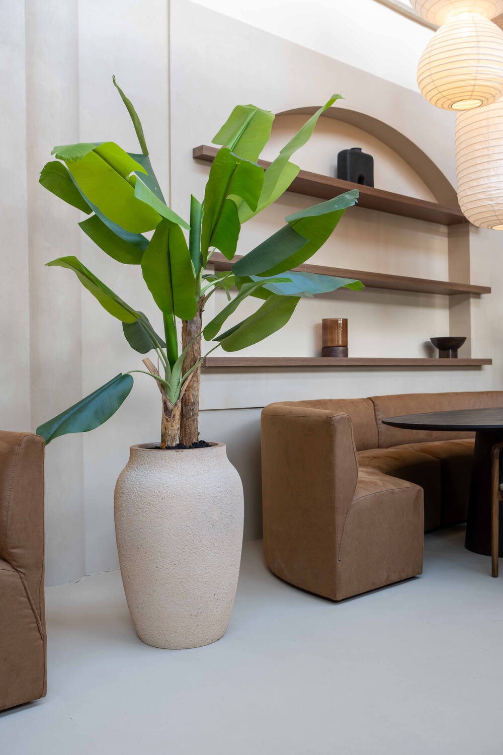 Banana tree L, Green