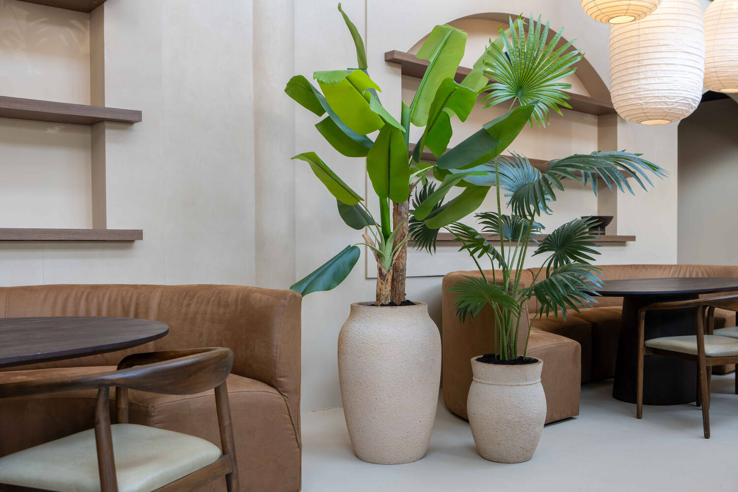 Banana tree L, Green