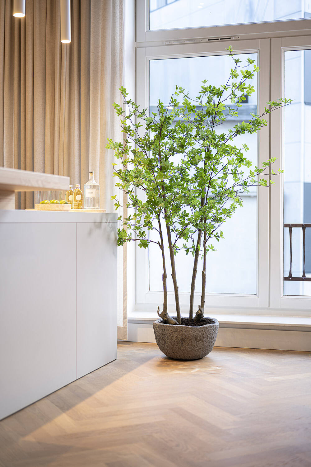 Enkianthus perulatus M, Green