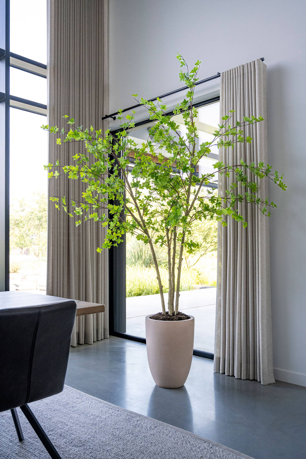 Enkianthus perulatus XL, Green