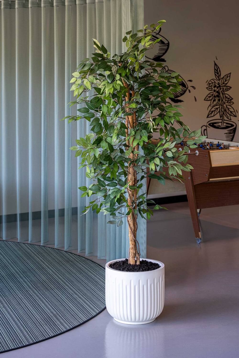 Arcus XS, Silk White