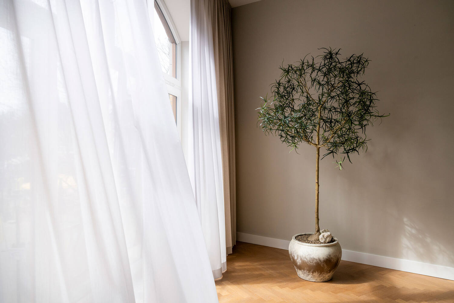 Nendo XL, Smoky umber