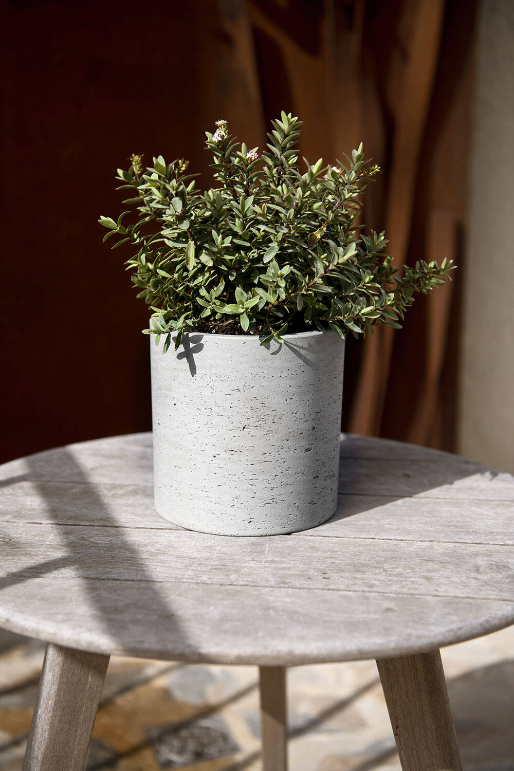 Max M, Grey Washed