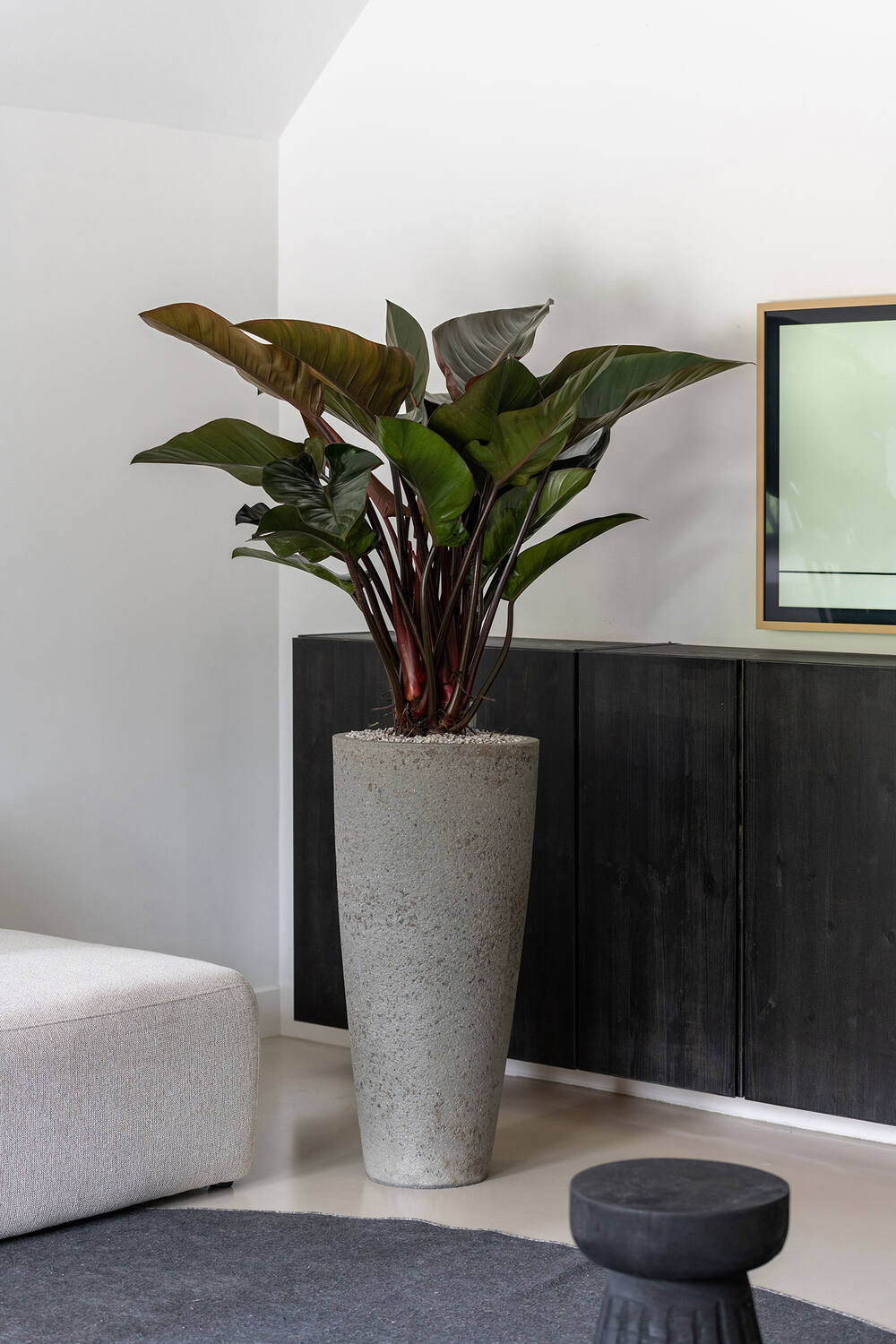 Dax XL, Diorite Grey