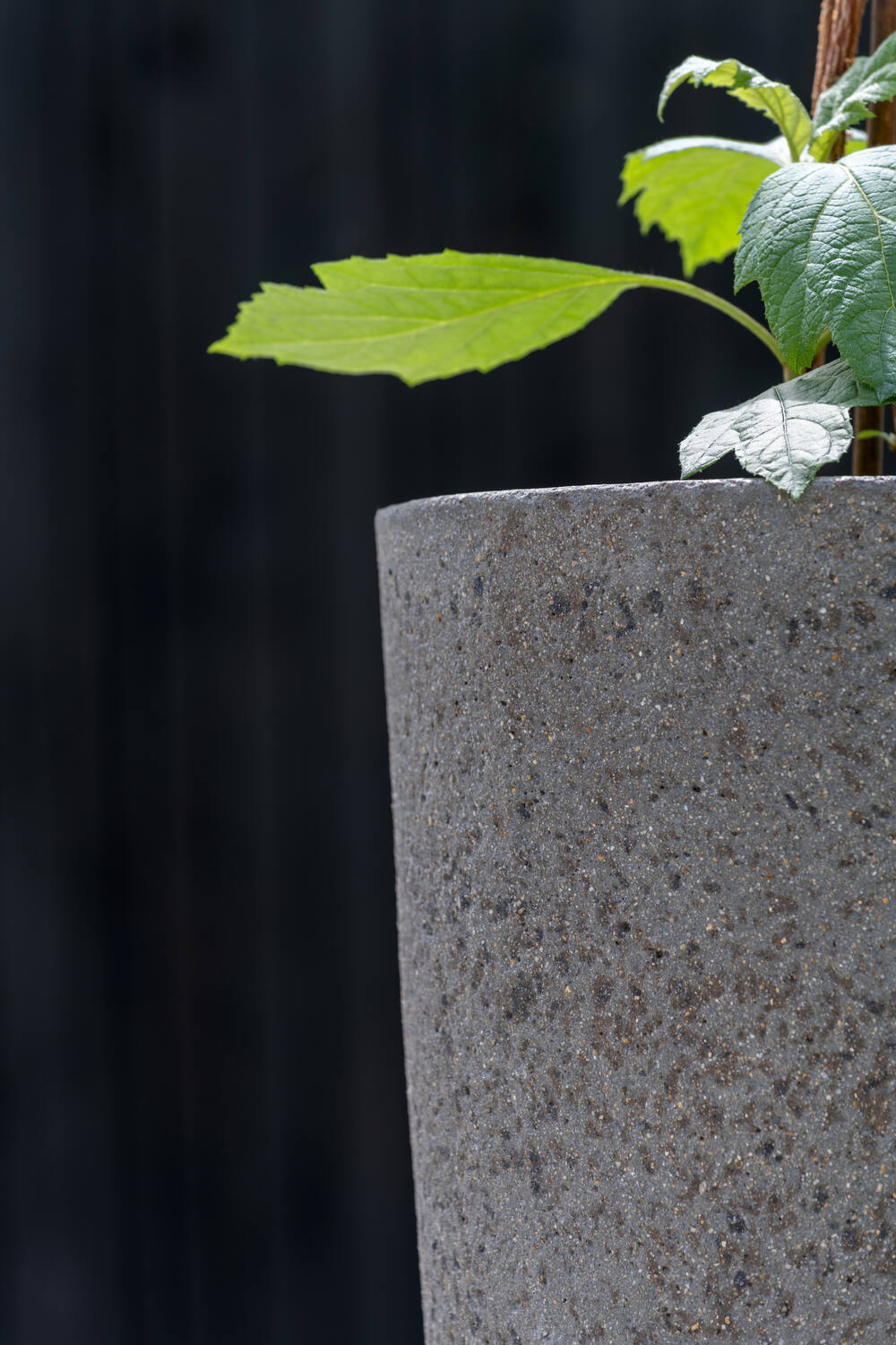 Jesslyn S, Diorite Grey