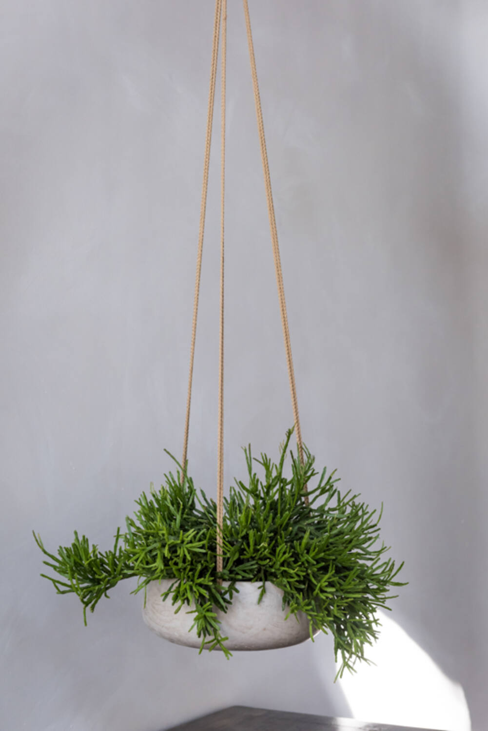 Eileen M (hanging) Grey Washed
