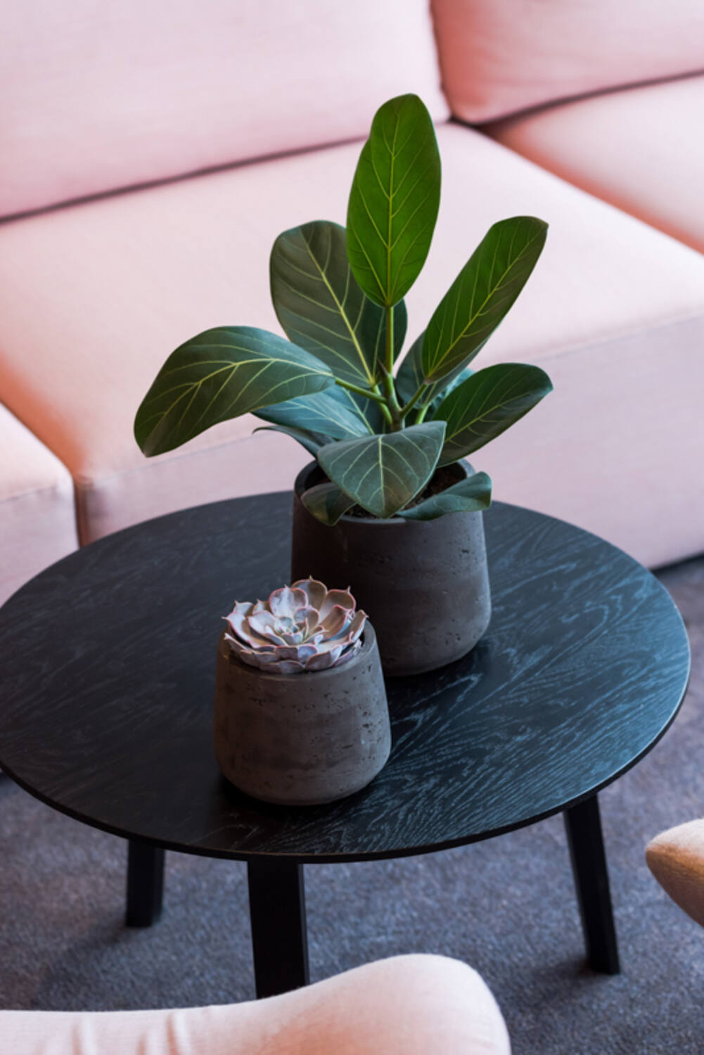 Patt M, Black Washed