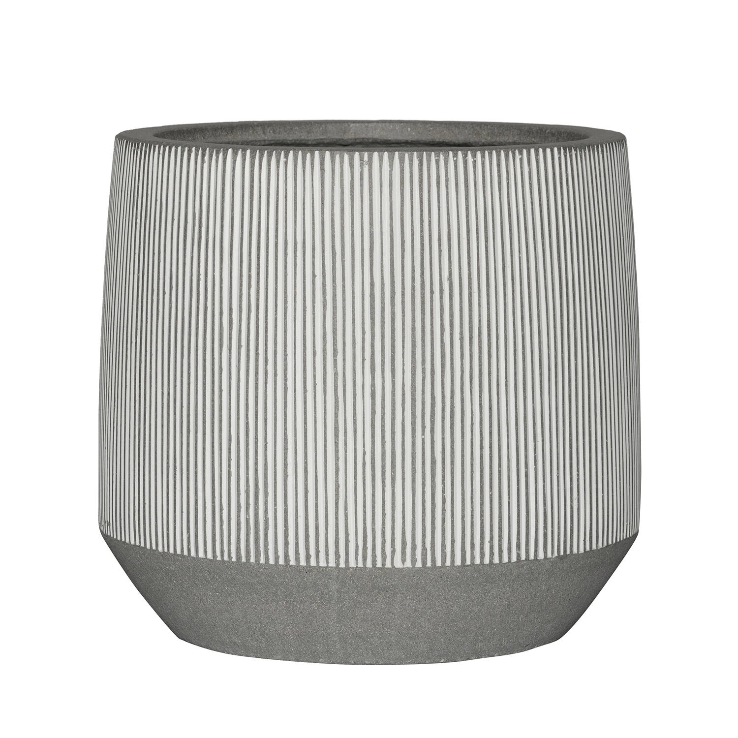 Harith L, White stripe