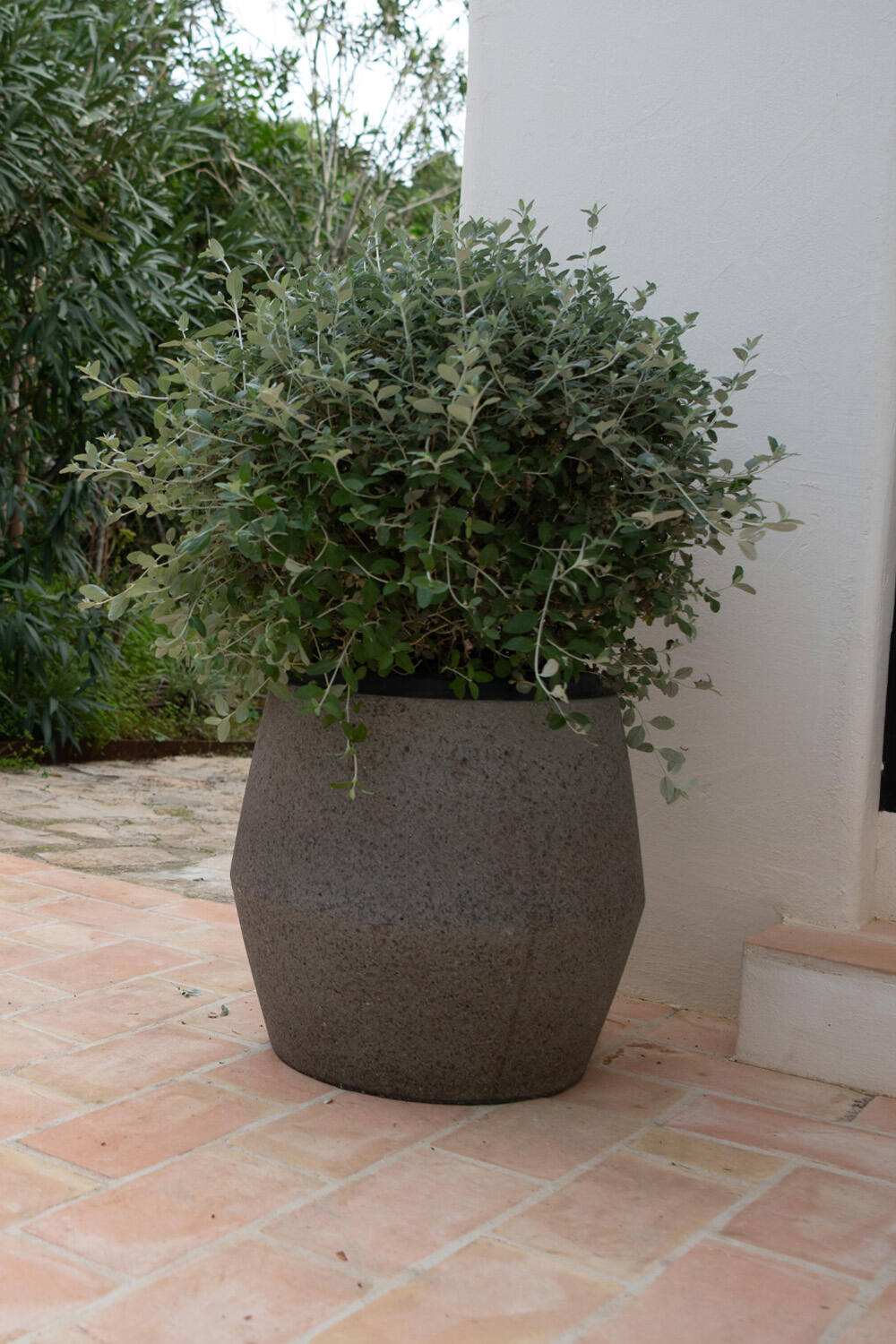 Harley S, Diorite Grey
