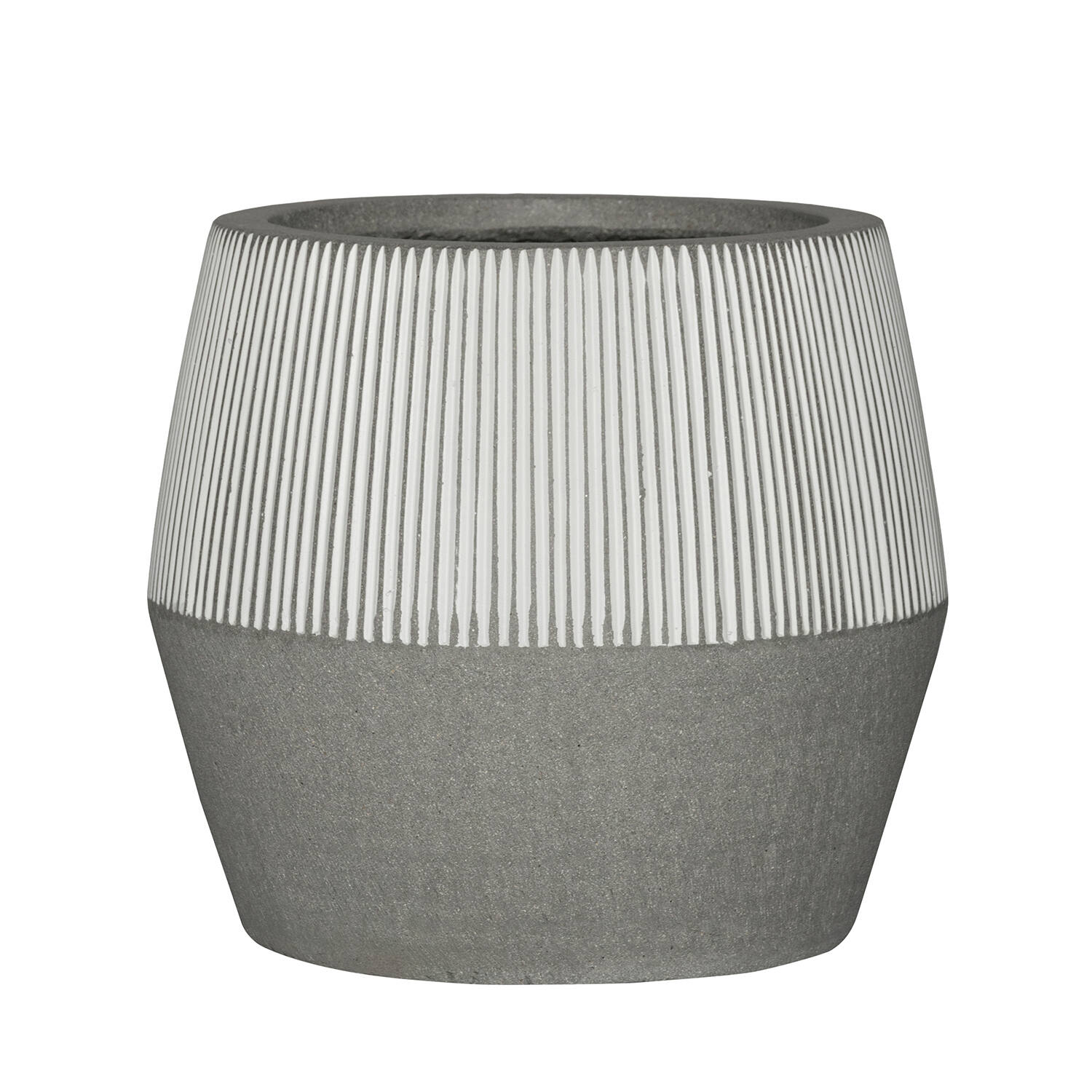 Harley L, White stripe