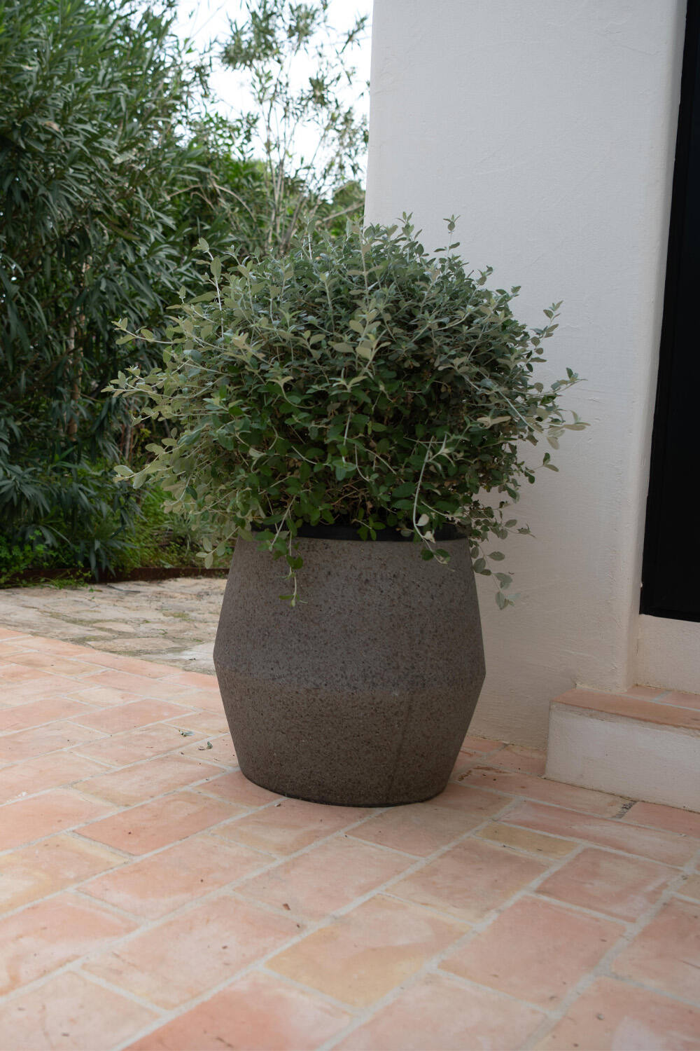 Harley L, Diorite Grey