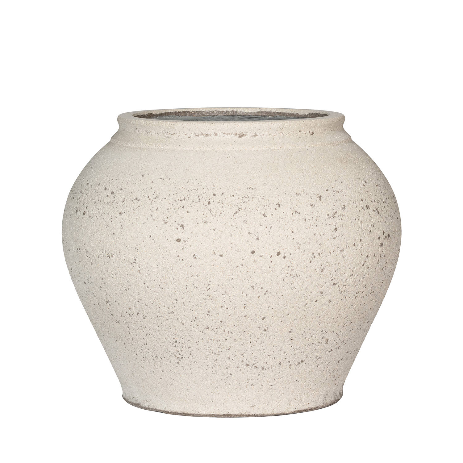 Zeus L, Chalk White