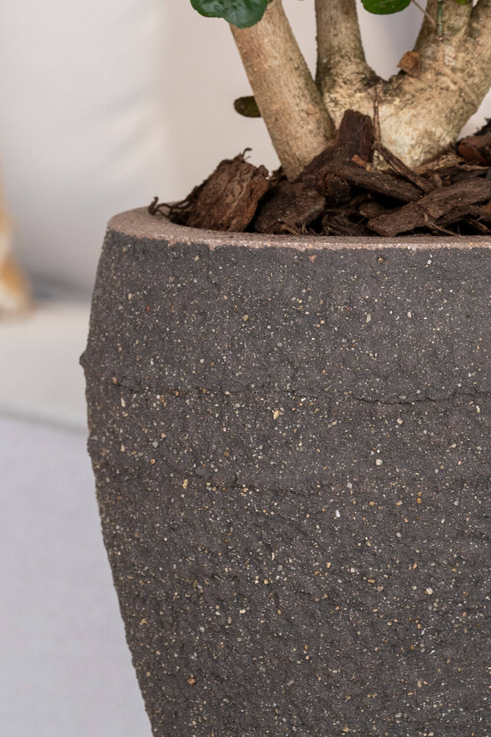 Ares, M, Umber Brown