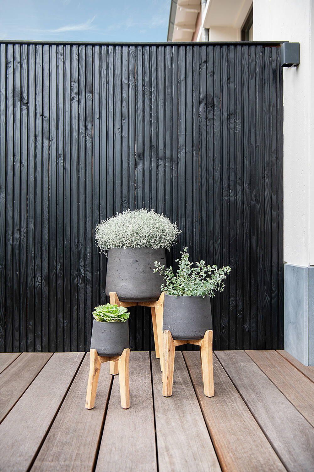 Patt XXL (Feet High), Black Washed
