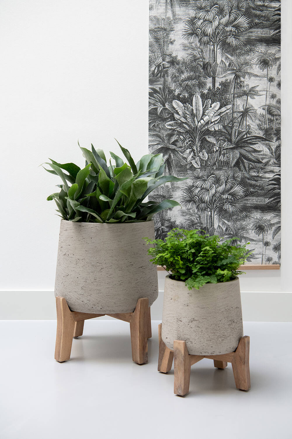 Patt M (Feet Low), Grey Washed