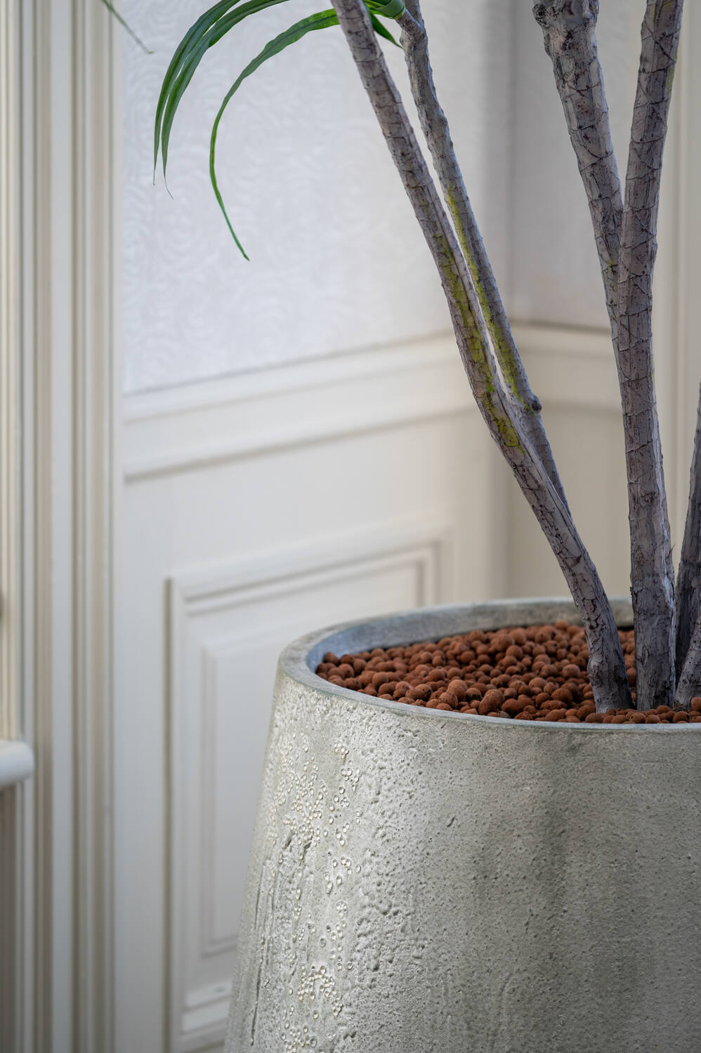 Pax M, Imperial White