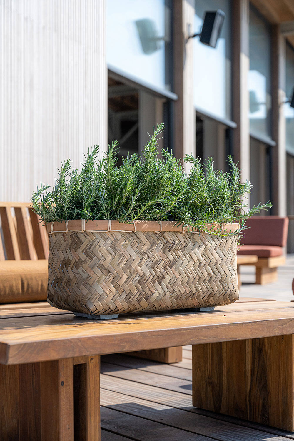 Nouri XS, Bamboo