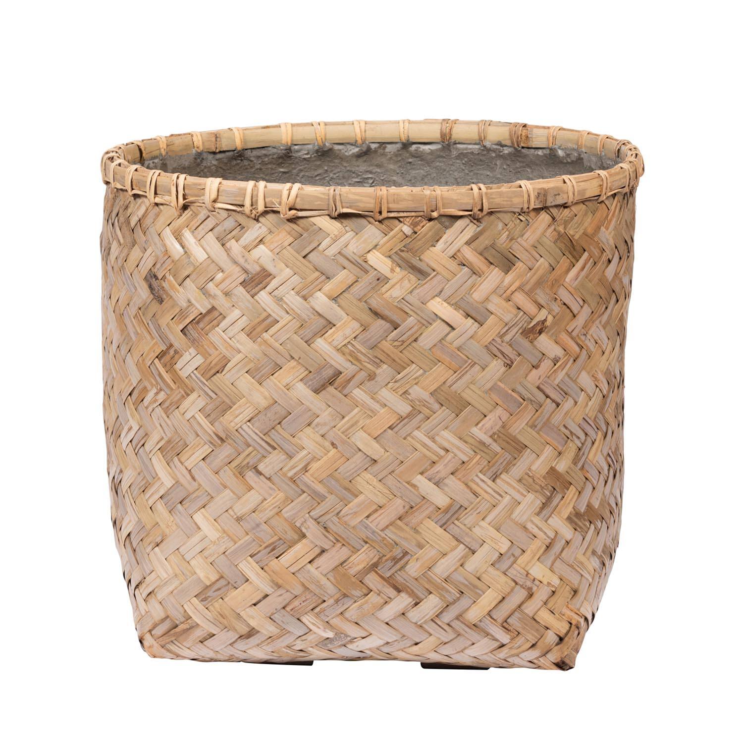 Zayn XS, Bamboo