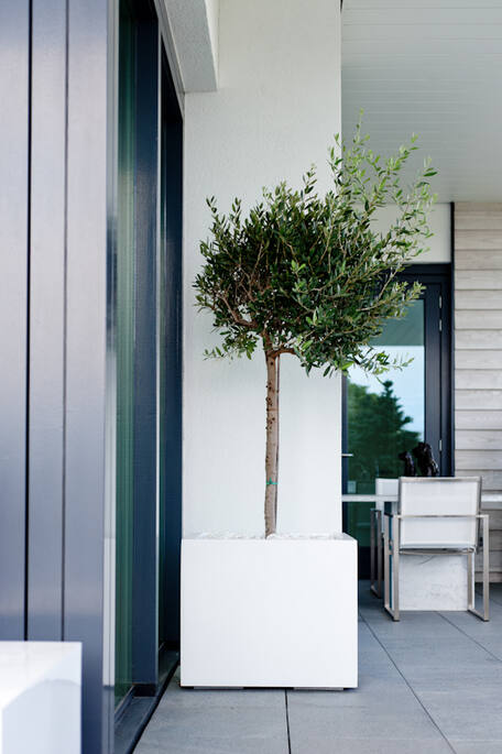 Block L, Glossy White