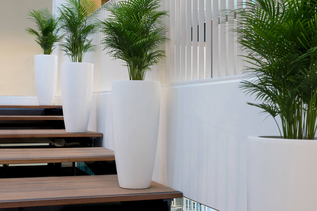 Dax XL, Matte White