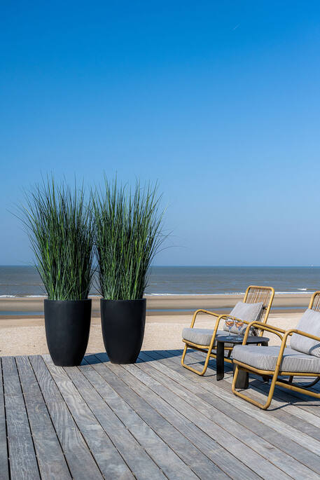 Ben Natural EU