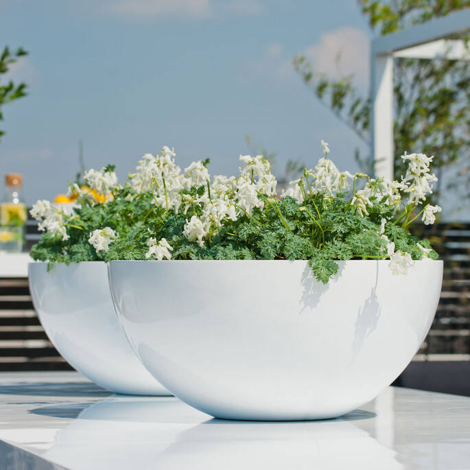 (S) Vic Bowl L, Glossy White