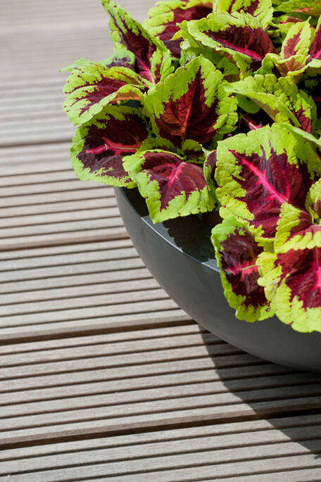 Vic Bowl M, Black