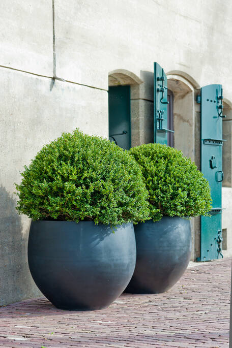 Jumbo Orb L, Black