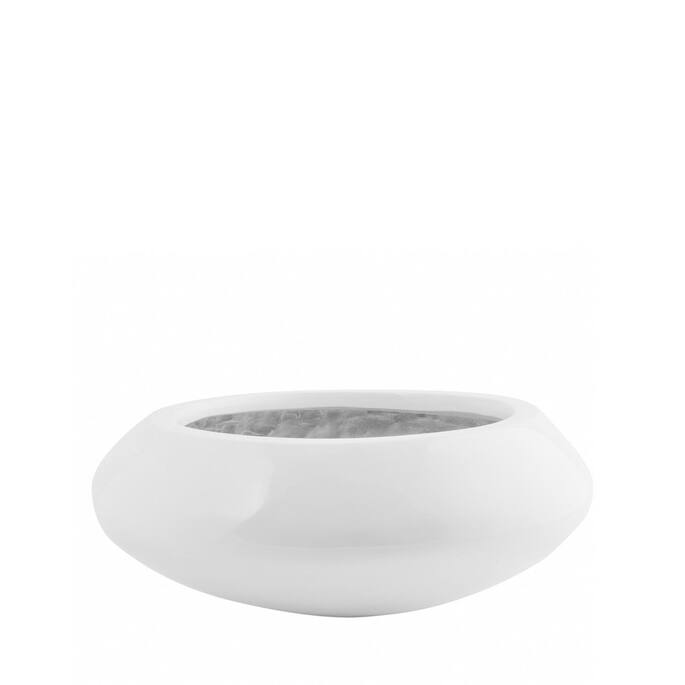 Tara Essential USA
