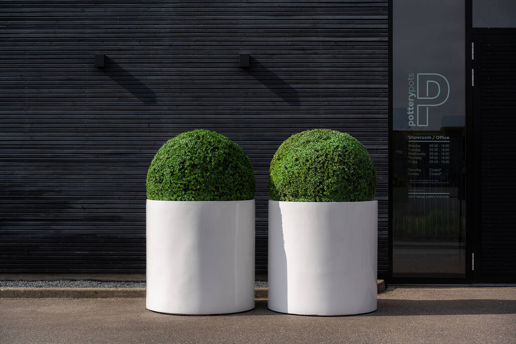 Boxwood Round S, Green