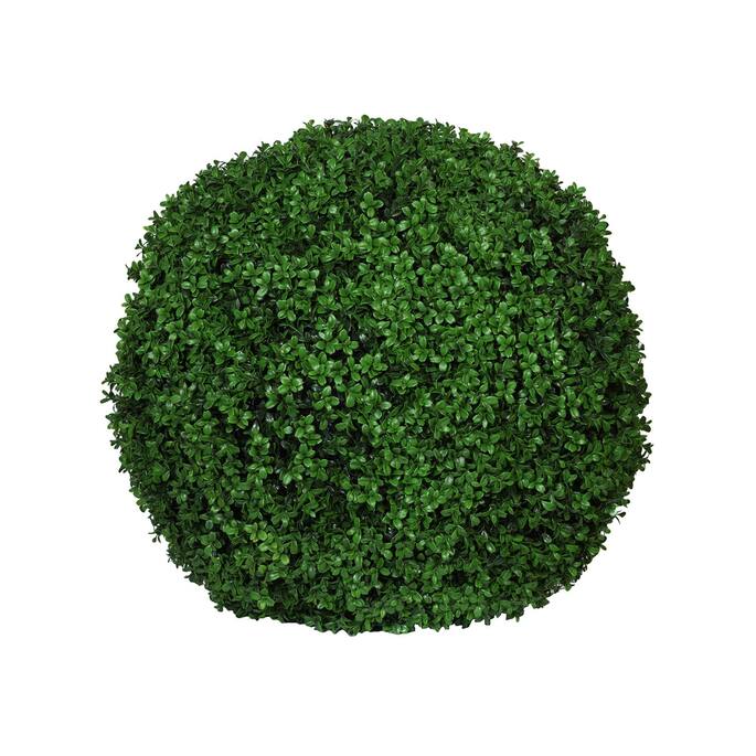 Boxwood