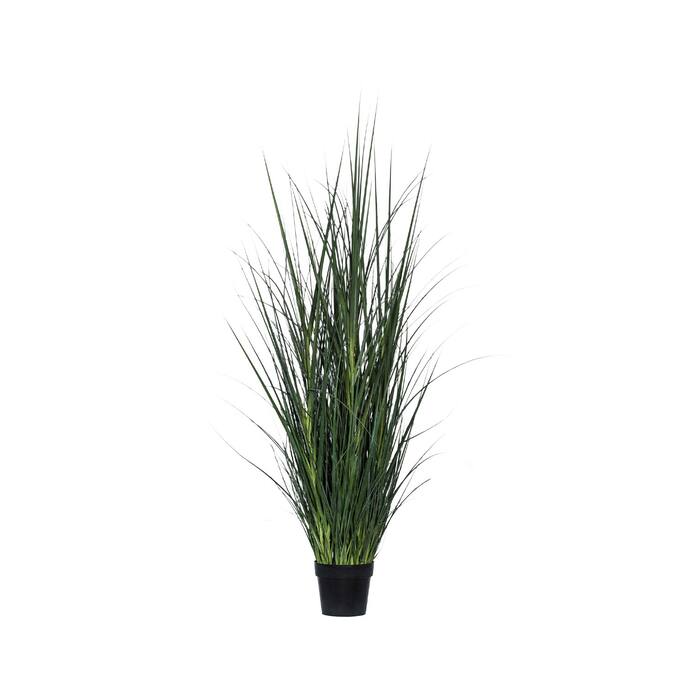 Grass in pot