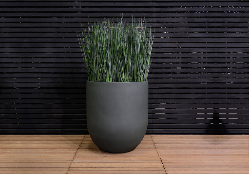 Grass in pot L, Green