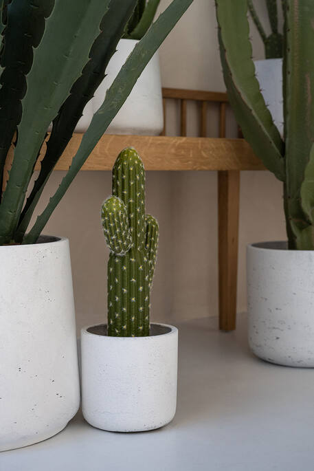 Cactus Saguaro M, Green