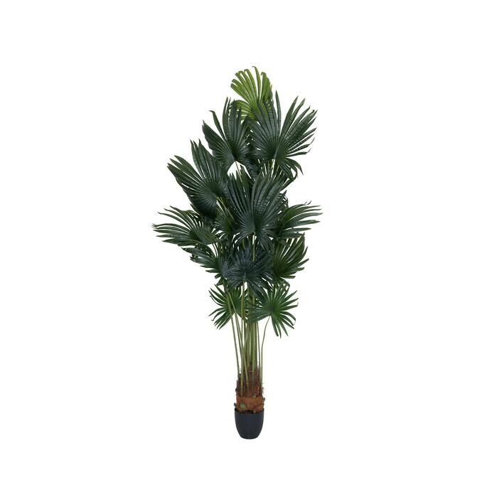 Palm Tree