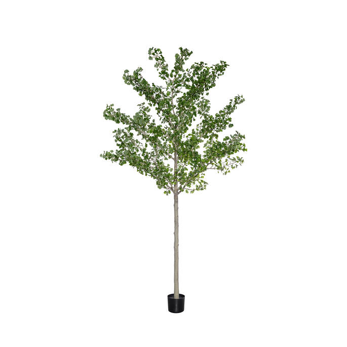 (EU) Ginko Biloba 