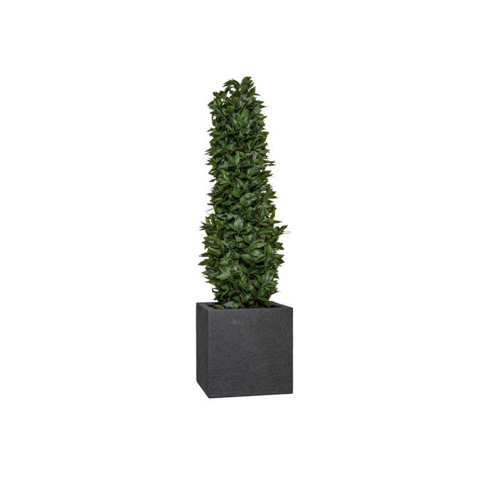 Block Granite EU