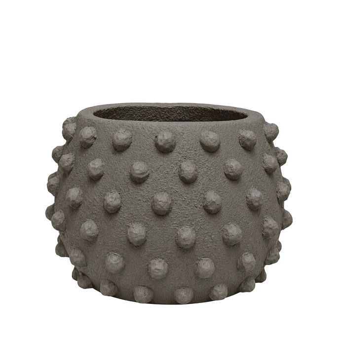 Polly Low Texture (EU)