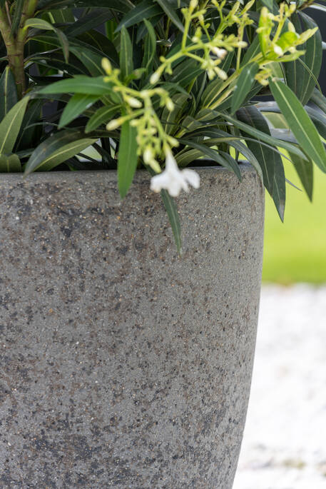 Ben L, Diorite Grey