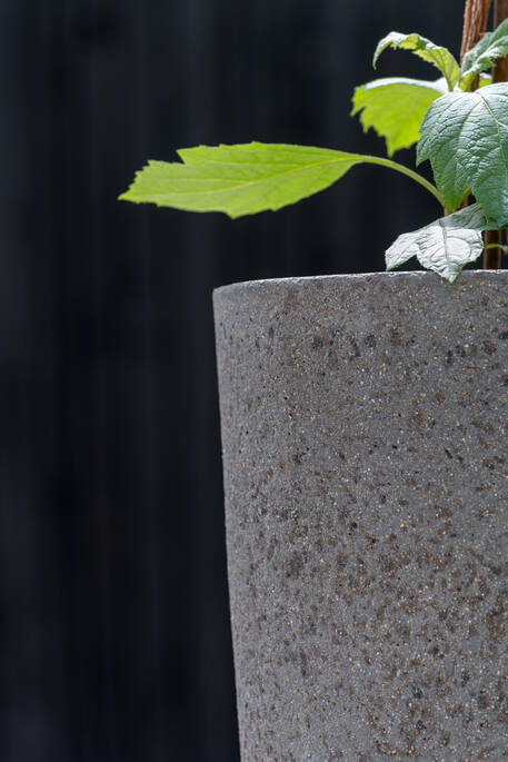 Jesslyn S, Diorite Grey