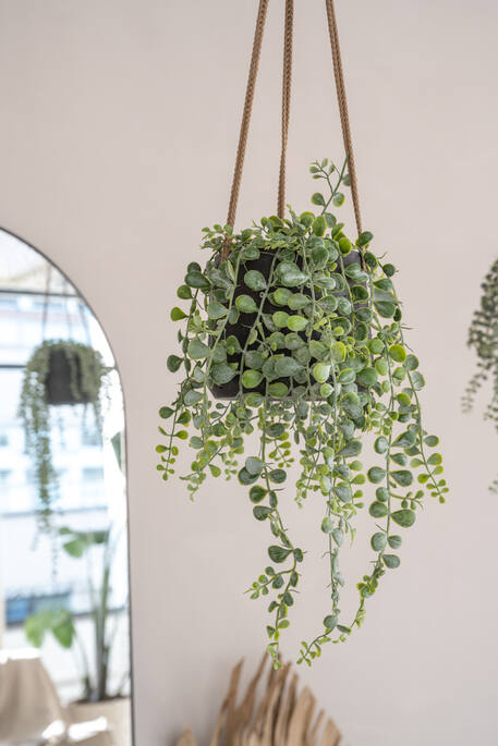 Patt (Hanging) Rough USA
