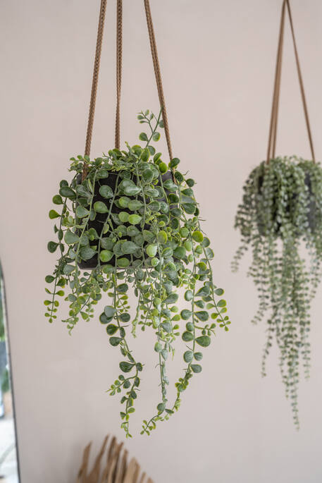 Patt (Hanging) Rough USA