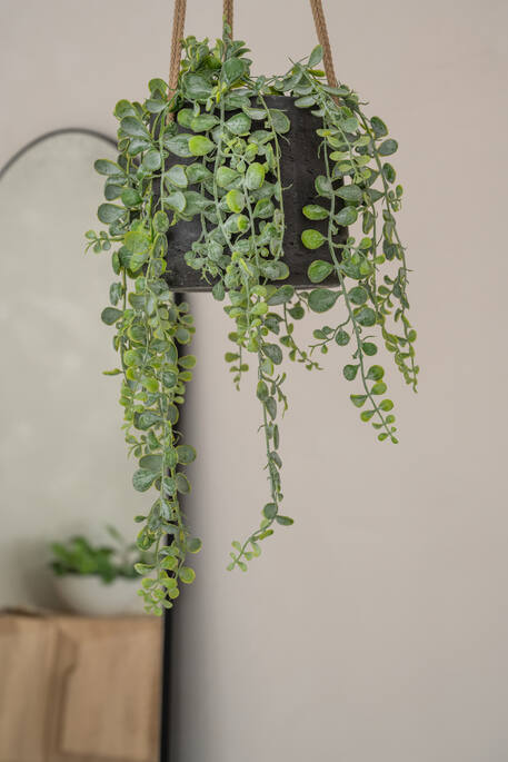 Patt M (hanging) Black Washed