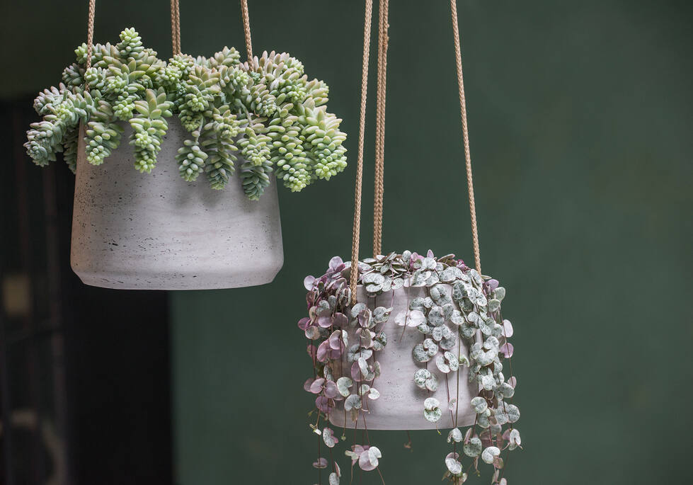 Patt M (hanging) Grey Washed