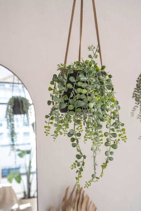 Patt (Hanging) Rough USA
