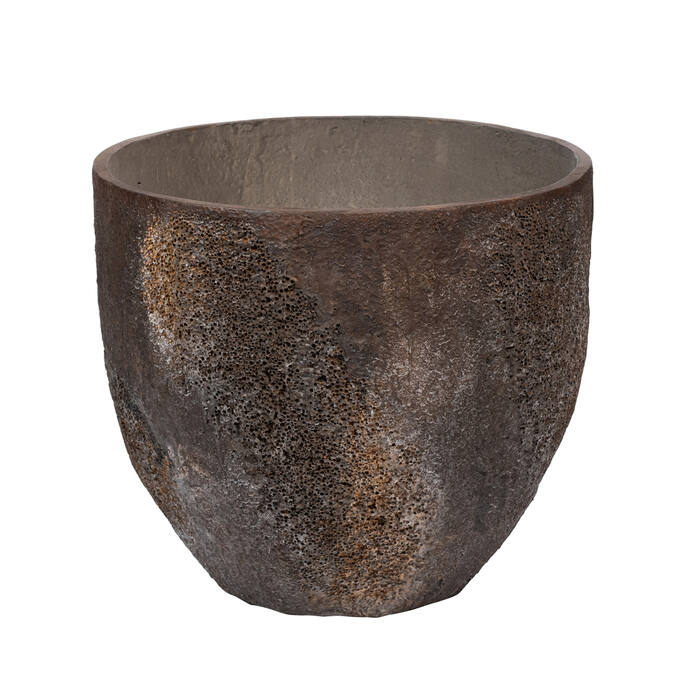 Jesslyn Oyster Brown (US)