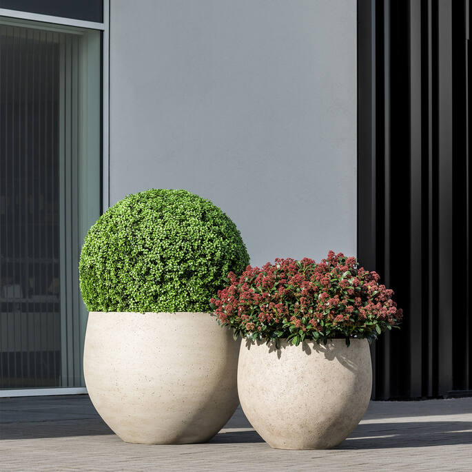 Jumbo Orb Urban beige washed (USA)