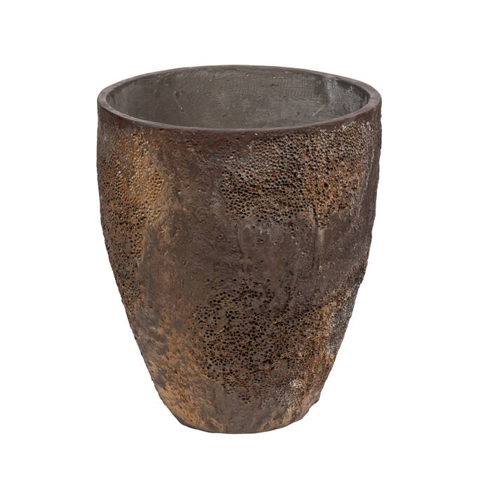 Bernd Oyster Brown (US)